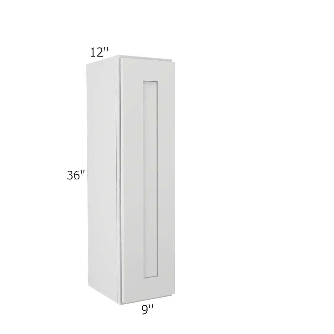 Wall Cabinet 9" x 36" x 21"
